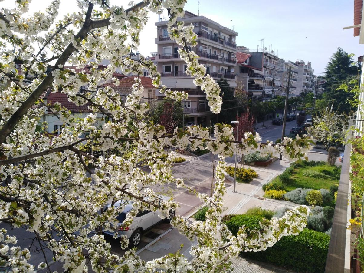 Olympia Hotel Edessa Exterior photo