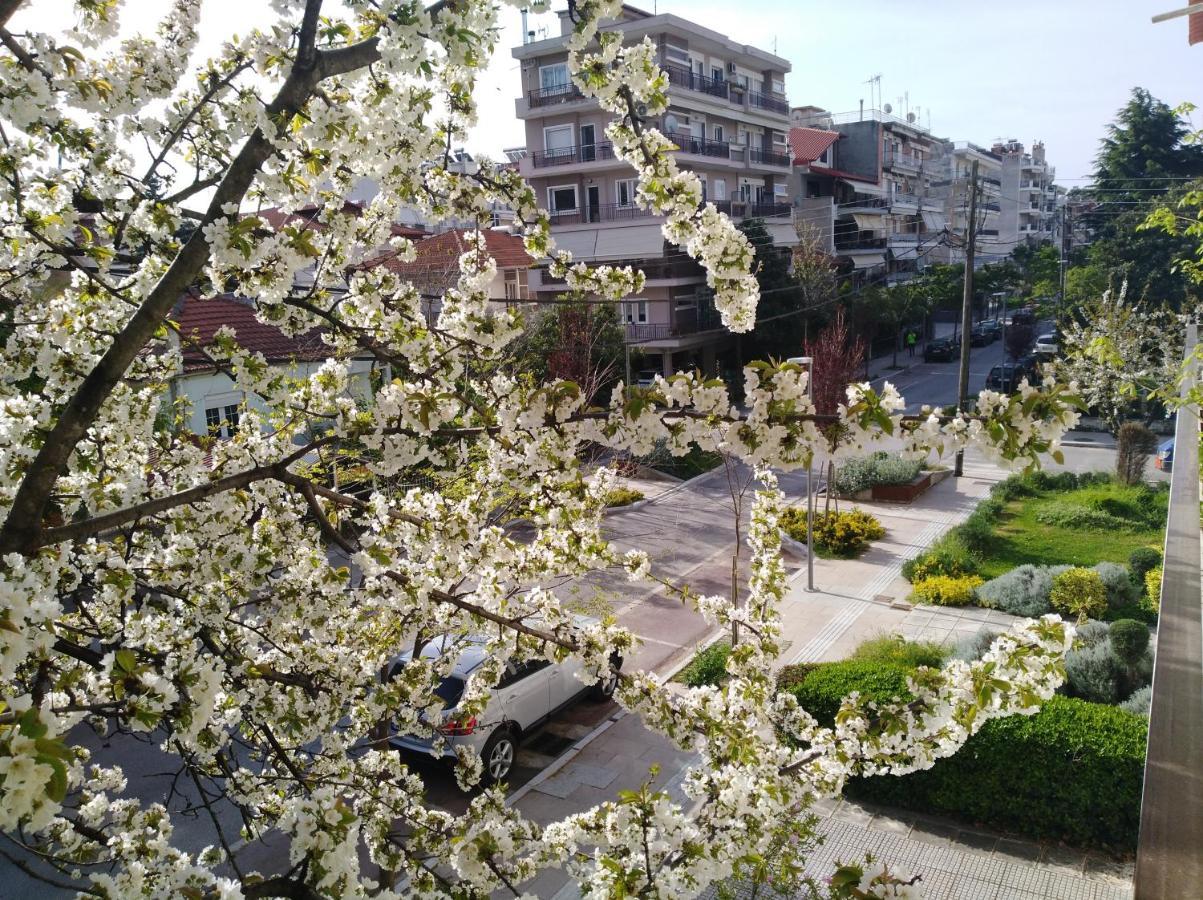Olympia Hotel Edessa Exterior photo